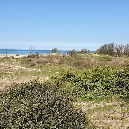 La Bouganville Passoscuro Luaran gambar