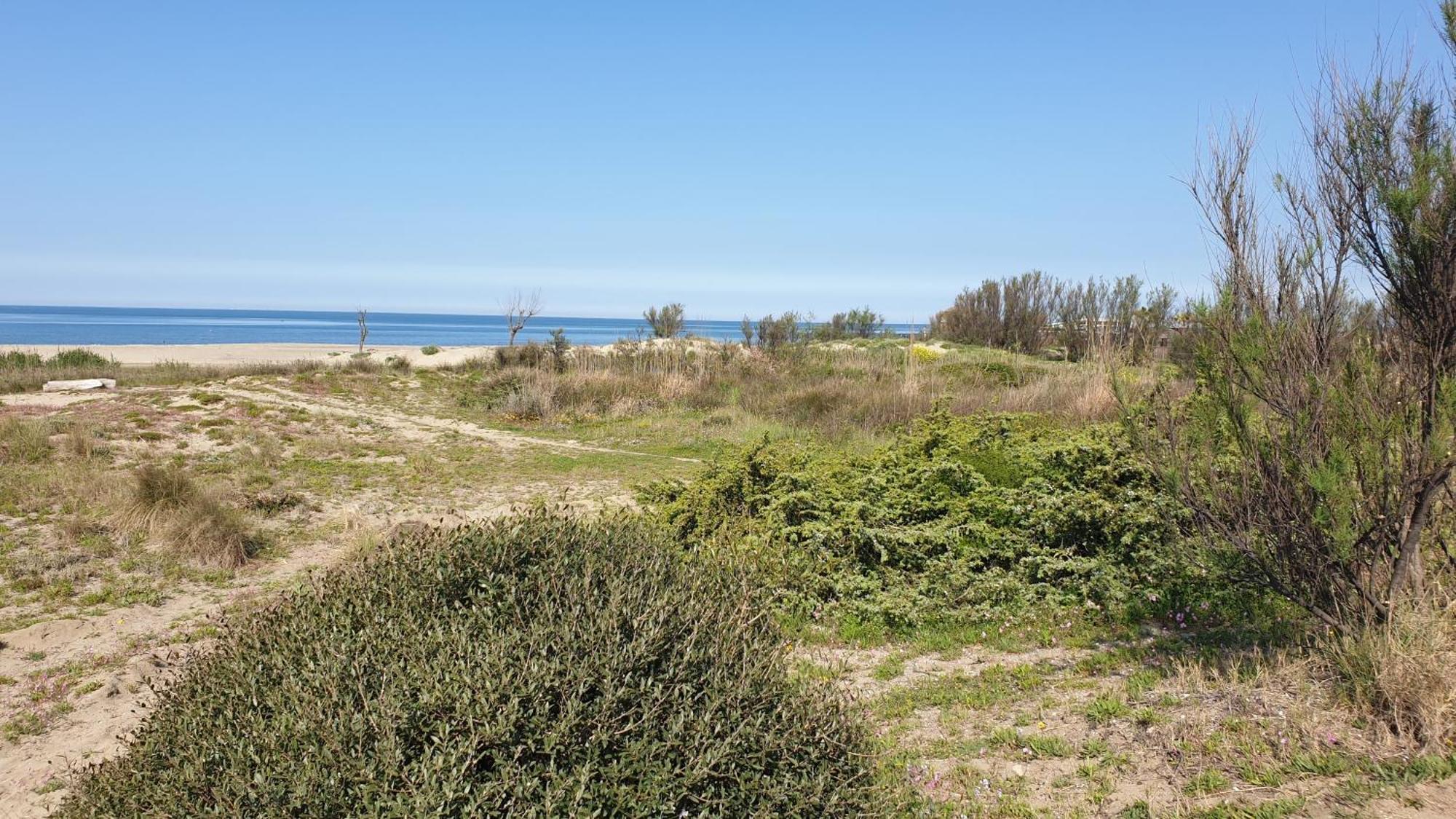 La Bouganville Passoscuro Luaran gambar